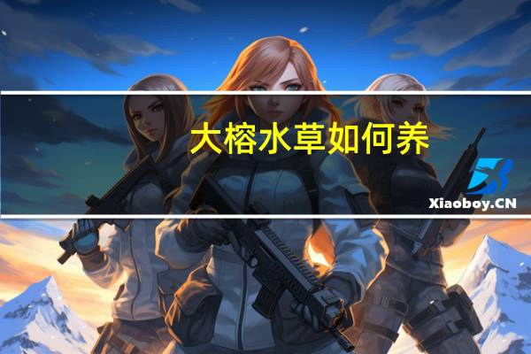 大榕水草如何养