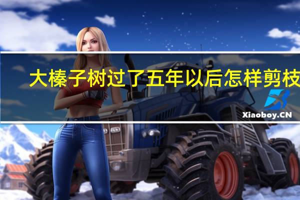 大榛子树过了五年以后怎样剪枝呢