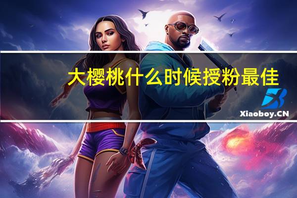 大樱桃什么时候授粉最佳