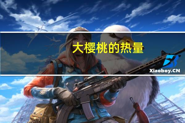 大樱桃的热量