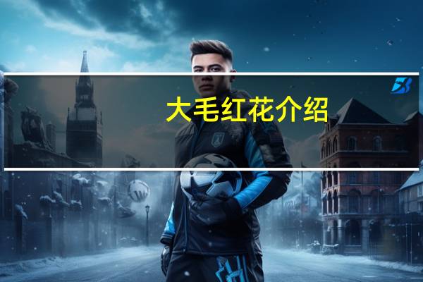 大毛红花介绍