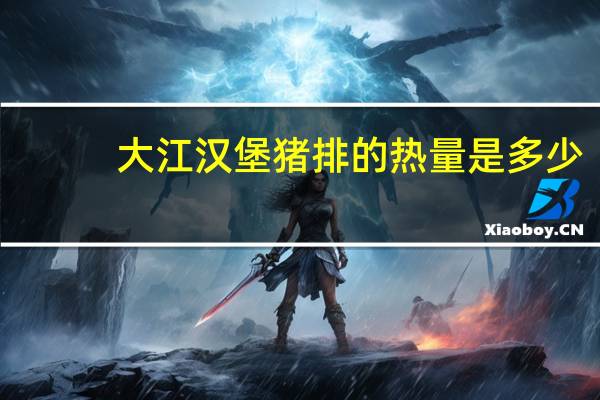 大江 汉堡猪排的热量是多少