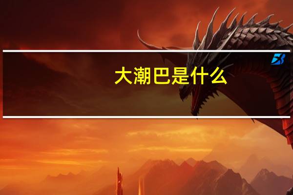 大潮巴是什么