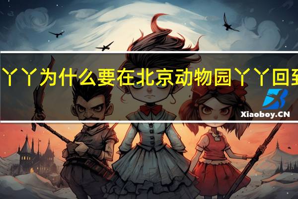 大熊猫丫丫为什么要在北京动物园 丫丫回到北京动物园