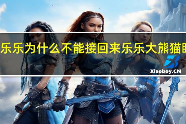 大熊猫乐乐为什么不能接回来 乐乐大熊猫眼睛被谁挖了