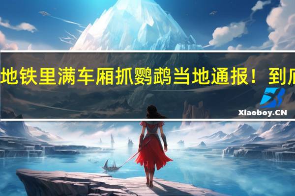 大爷在地铁里满车厢抓鹦鹉当地通报！ 到底什么情况呢