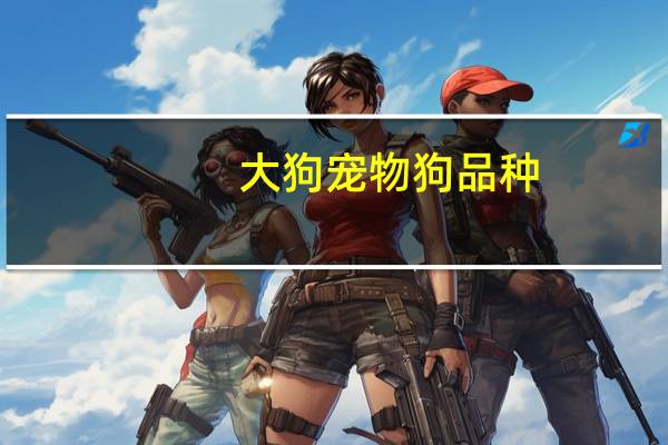 大狗宠物狗品种