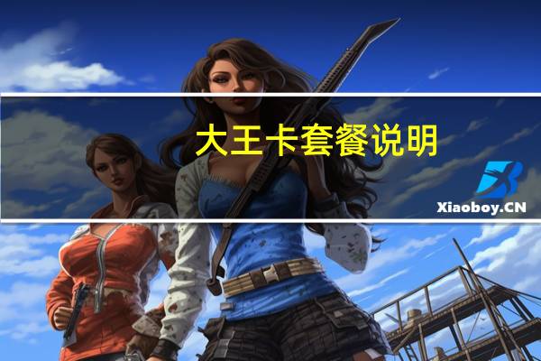 大王卡套餐说明（大王卡套餐）