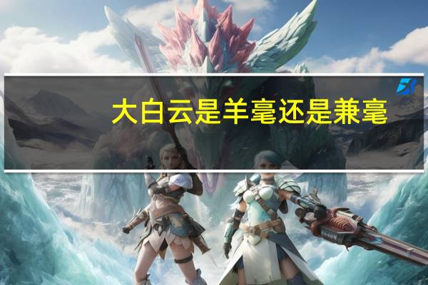 大白云是羊毫还是兼毫