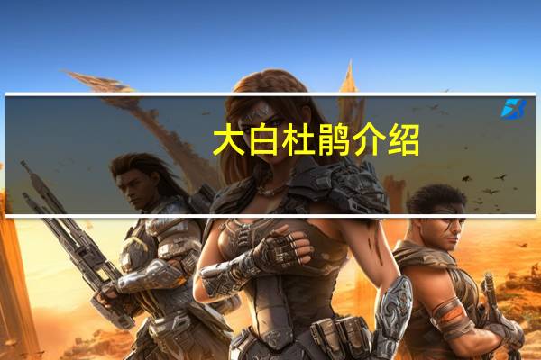 大白杜鹃介绍