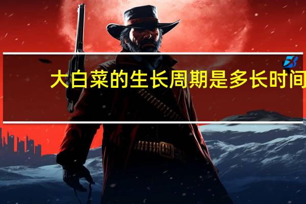 大白菜的生长周期是多长时间