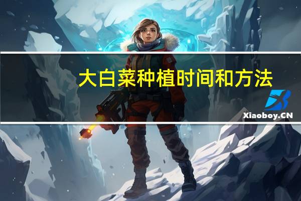 大白菜种植时间和方法