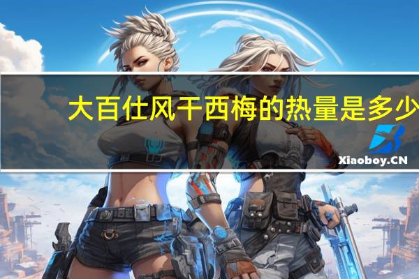 大百仕 风干西梅的热量是多少