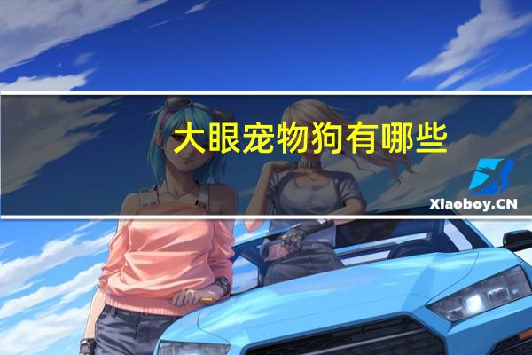 大眼宠物狗有哪些