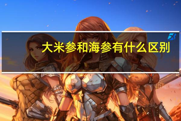 大米参和海参有什么区别