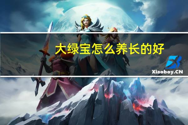 大绿宝怎么养长的好