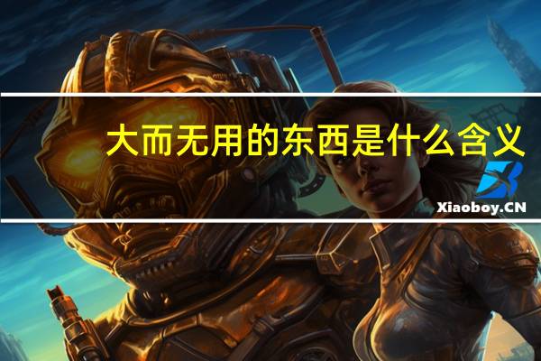 大而无用的东西是什么含义