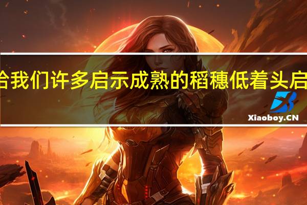 大自然给我们许多启示成熟的稻穗低着头启示我们要谦虚