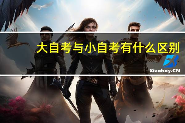 大自考与小自考有什么区别