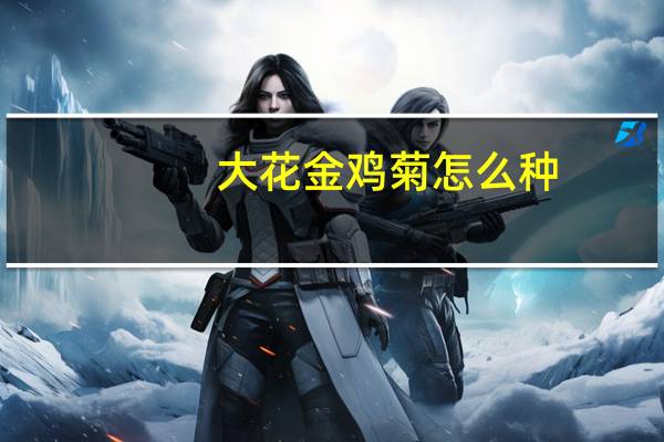 大花金鸡菊怎么种