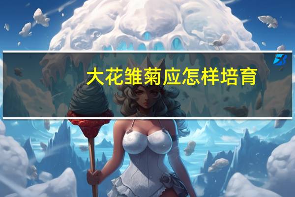 大花雏菊应怎样培育