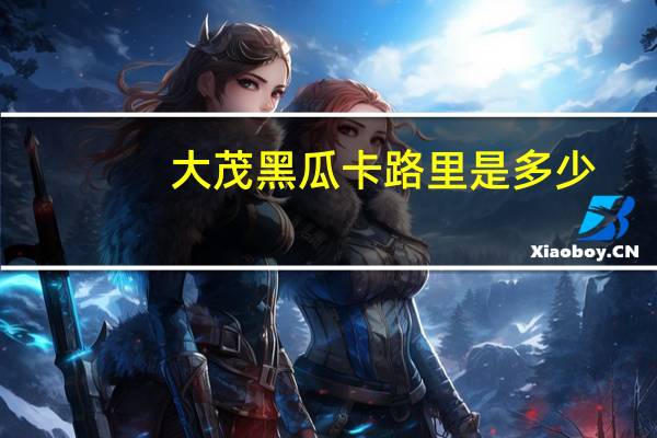 大茂黑瓜卡路里是多少