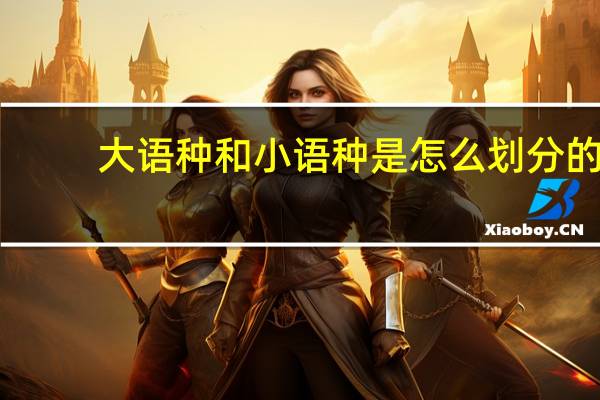 大语种和小语种是怎么划分的