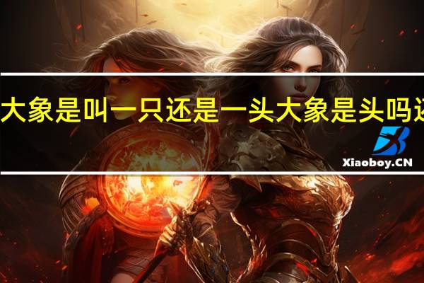 大象是叫一只还是一头 大象是头吗还是只