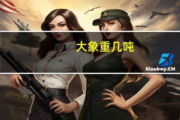 大象重几吨