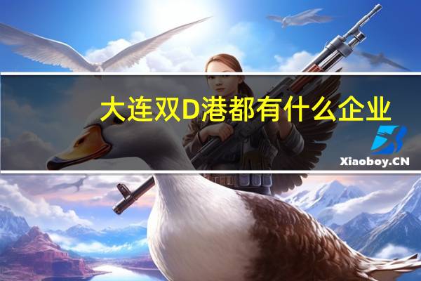 大连双D港都有什么企业