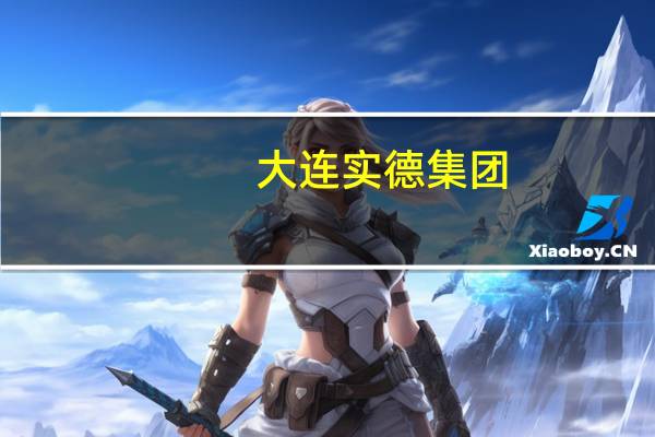 大连实德集团(大连实德集团总裁)