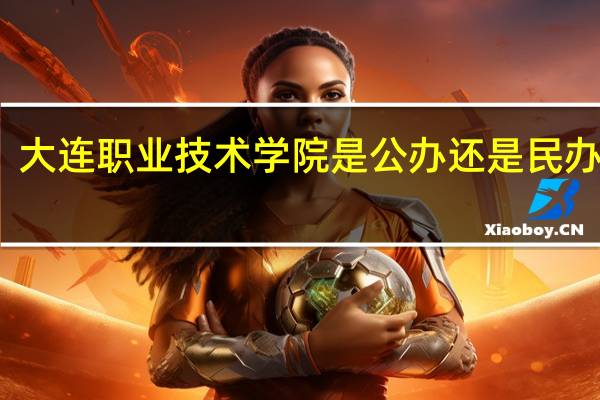 大连职业技术学院是公办还是民办学校