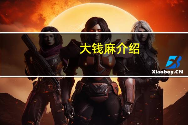 大钱麻介绍