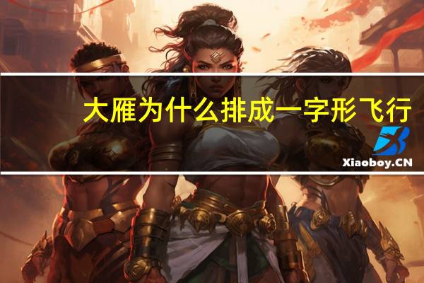 大雁为什么排成一字形飞行（大雁为什么排成一字）