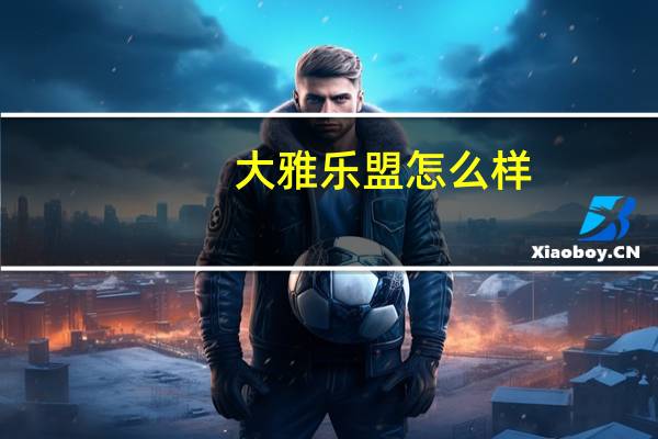 大雅乐盟怎么样