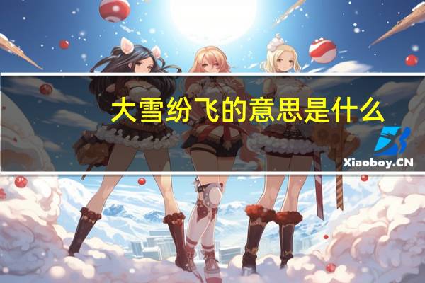 大雪纷飞的意思是什么