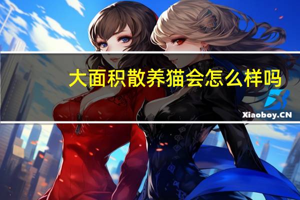 大面积散养猫会怎么样吗