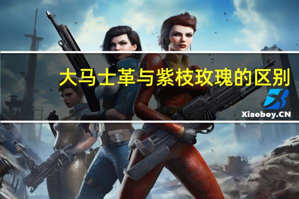 大马士革与紫枝玫瑰的区别