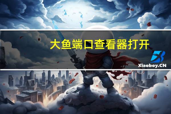 大鱼端口查看器 打开（大鱼端口查看器）