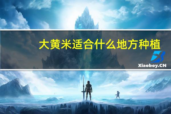 大黄米适合什么地方种植