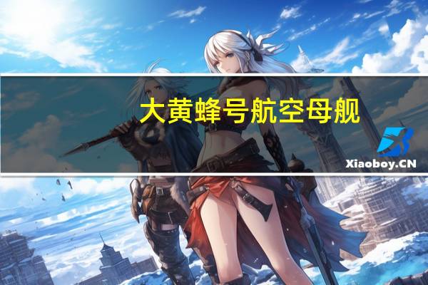 大黄蜂号航空母舰-大黄蜂号航空母舰（舷号CV-8简介