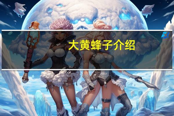 大黄蜂子介绍