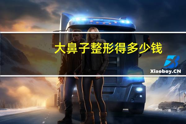 大鼻子整形得多少钱(鼻综合整形要多少钱)