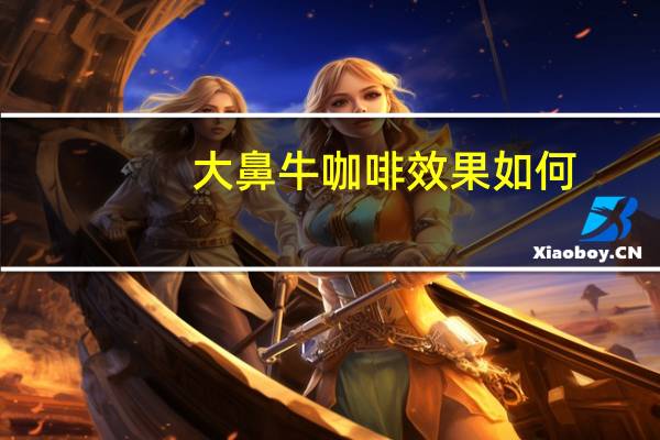 大鼻牛咖啡效果如何