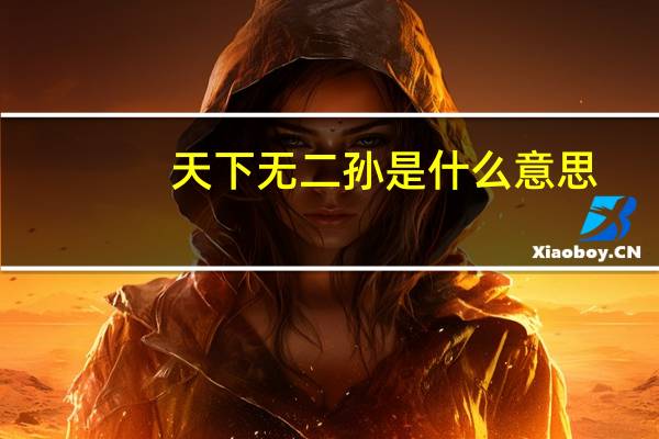 天下无二孙是什么意思