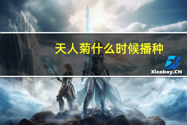 天人菊什么时候播种