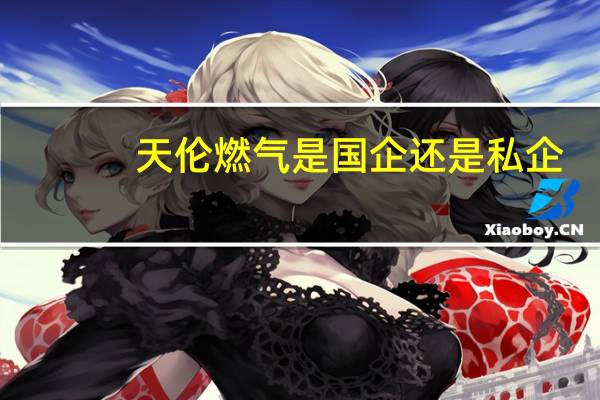 天伦燃气是国企还是私企