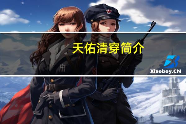 天佑清穿简介（清穿简介）