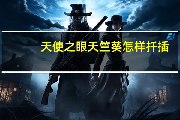 天使之眼天竺葵怎样扦插：插后等到盆土干透再浇水浸盆