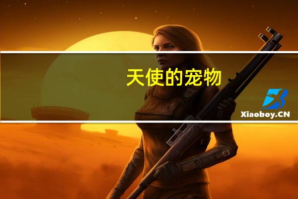 天使的宠物（天使之恋online宠物）